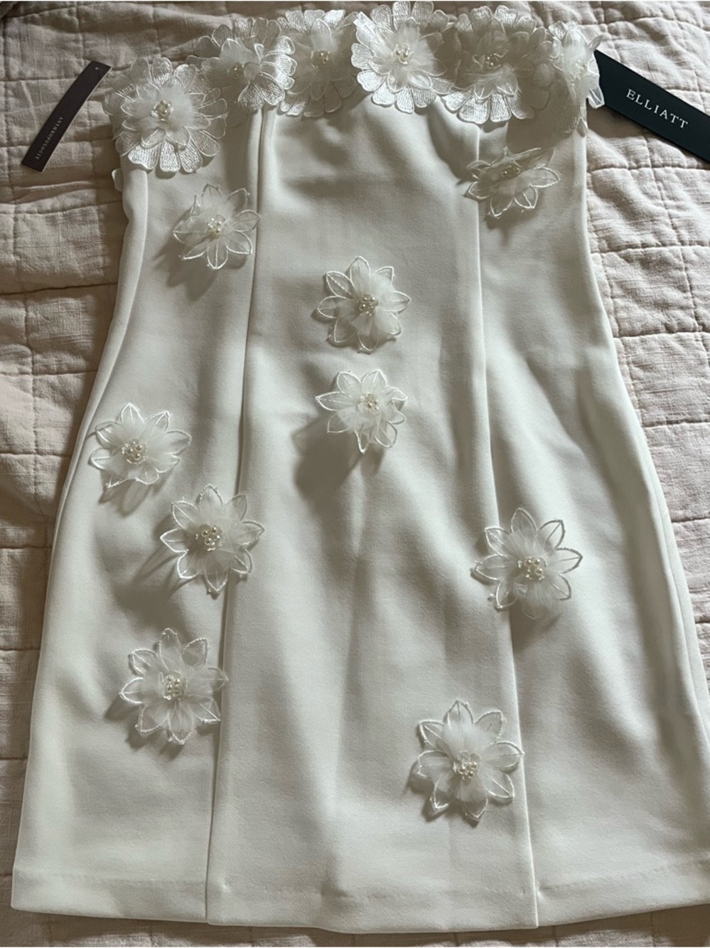 Elliatt Charlotte mini dress